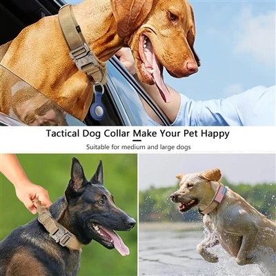 戦術的な犬の首輪は、その耐久性とセキュリティのためにペットの飼い主の間で人気を獲得します
