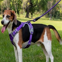 Braided Rope Dog Leash Braided Rope Dog Leash